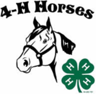 Image of 4-H Horse with a Horse head
